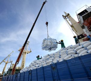 واردات برنج